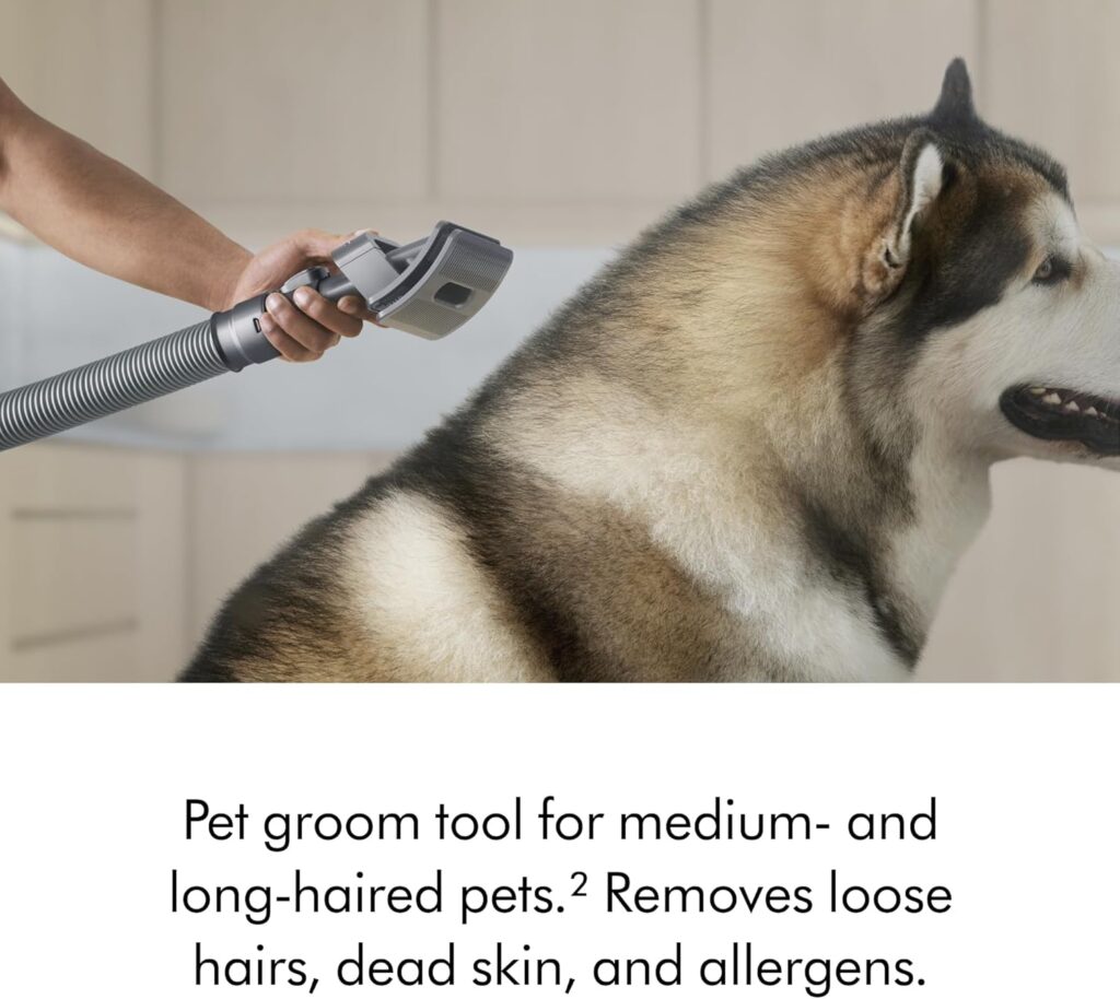 Dyson Ball Animal 3 Extra vacuum cleaning pet hair from carpet